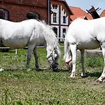 Szálloda Folwark & 3*