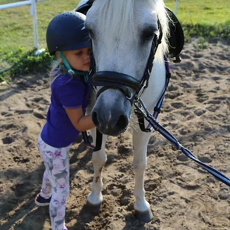 Folwark & Отель 3*